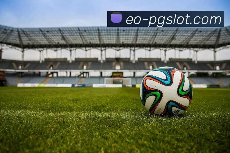 PG电子官网全站App